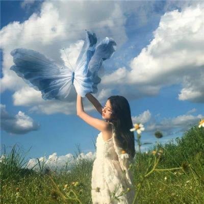 没有小鸟的天空